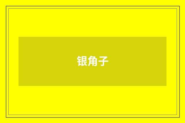 银角子