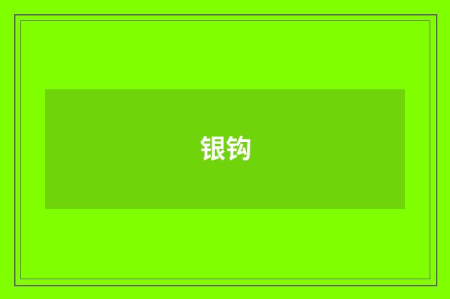 银钩