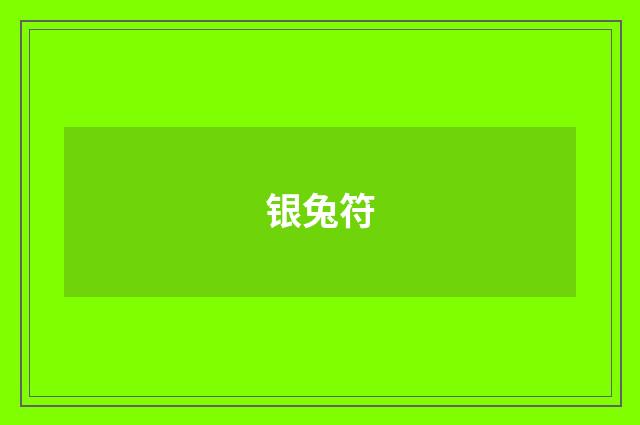 银兔符