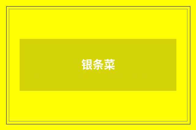 银条菜