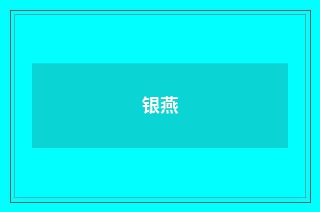 银燕