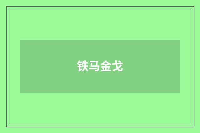 铁马金戈