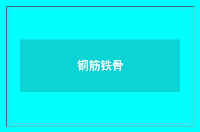 铜筋铁骨