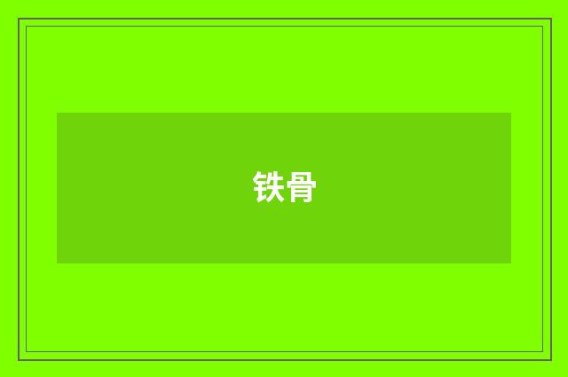 铁骨