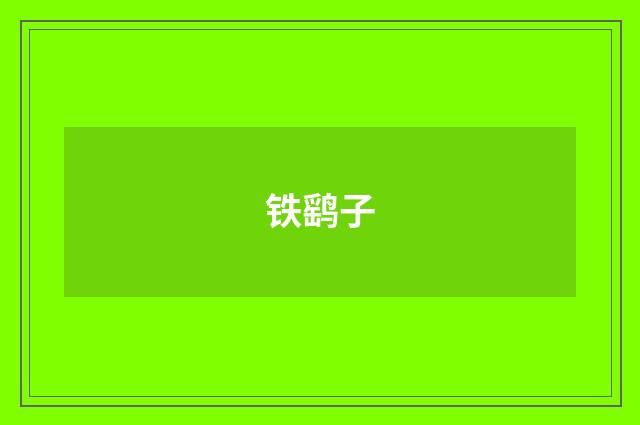 铁鹞子