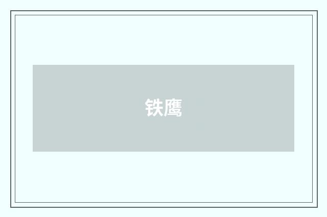 铁鹰