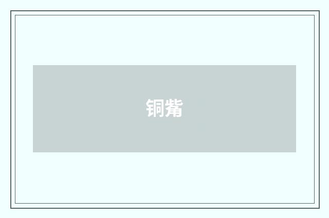 铜觜