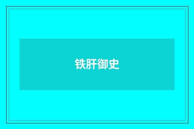 铁肝御史