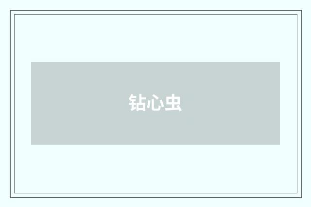 钻心虫