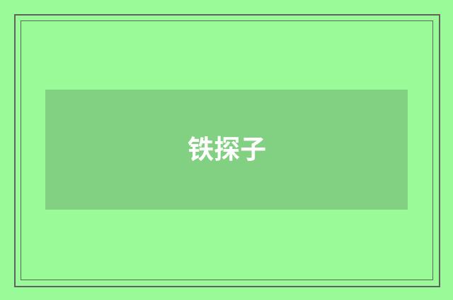 铁探子