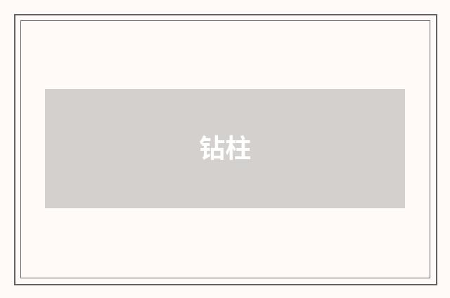 钻柱