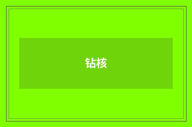 钻核
