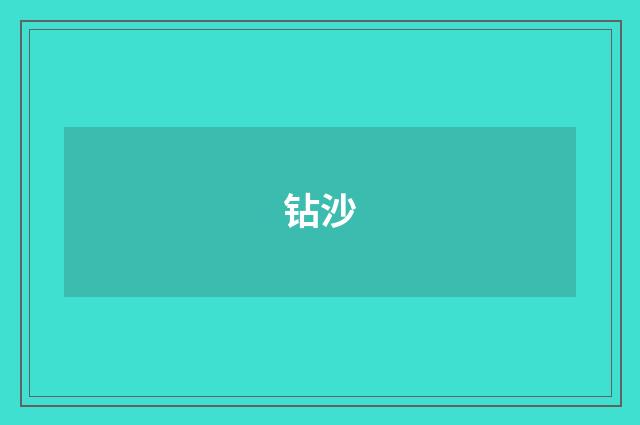 钻沙