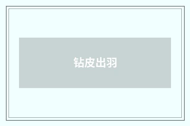 钻皮出羽