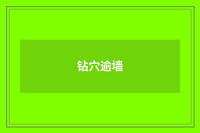 钻穴逾墙