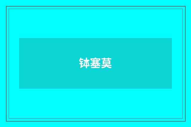 钵塞莫