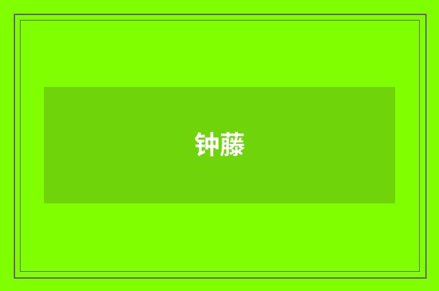 钟藤