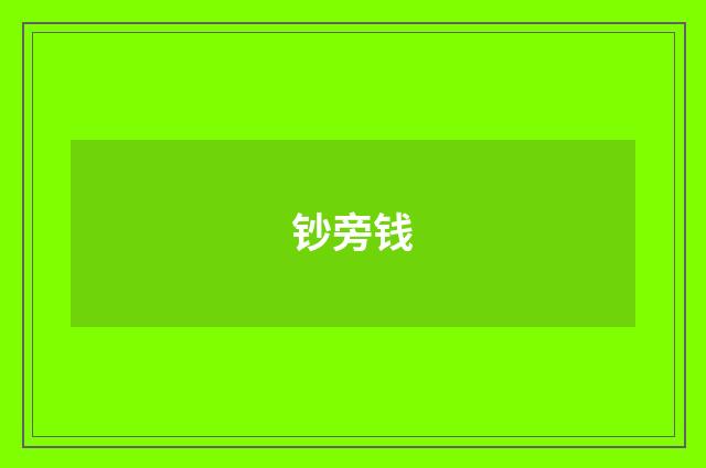 钞旁钱