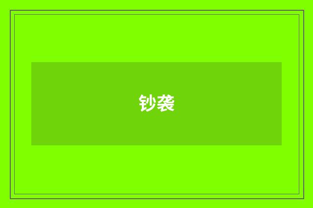 钞袭