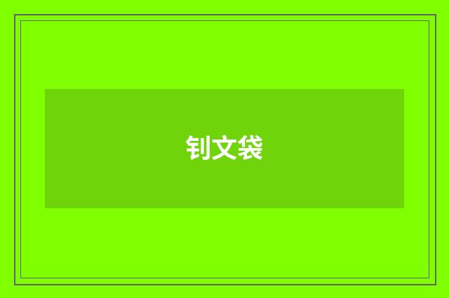 钊文袋
