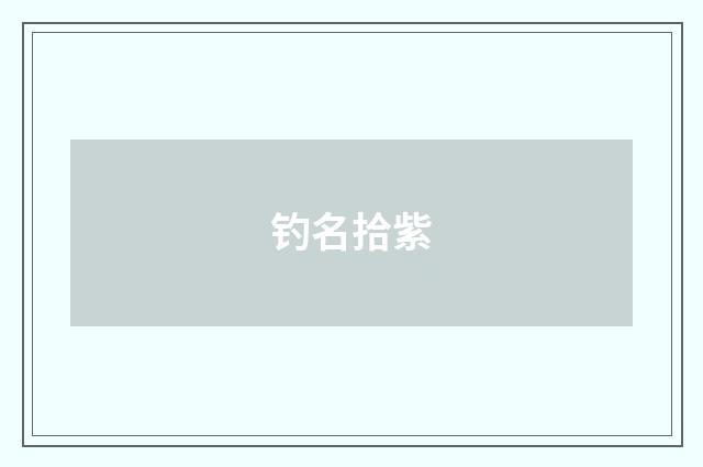 钓名拾紫