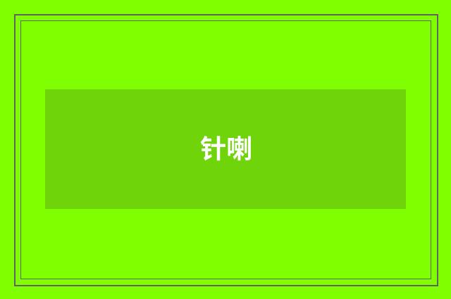 针喇