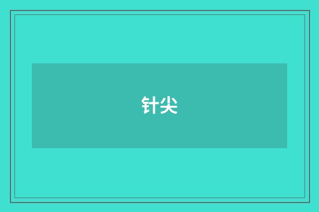 针尖