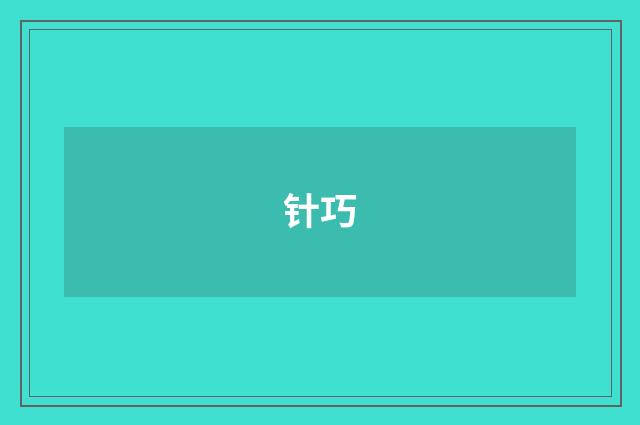 针巧