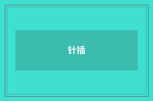 针插