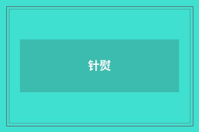 针熨