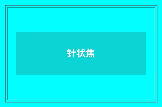 针状焦