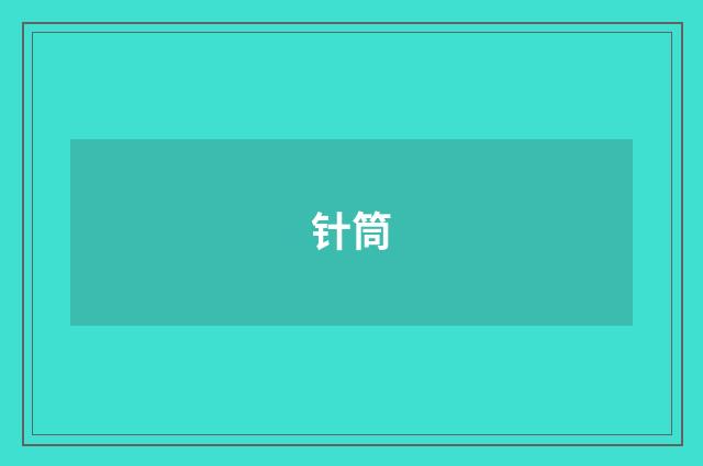 针筒