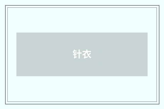 针衣