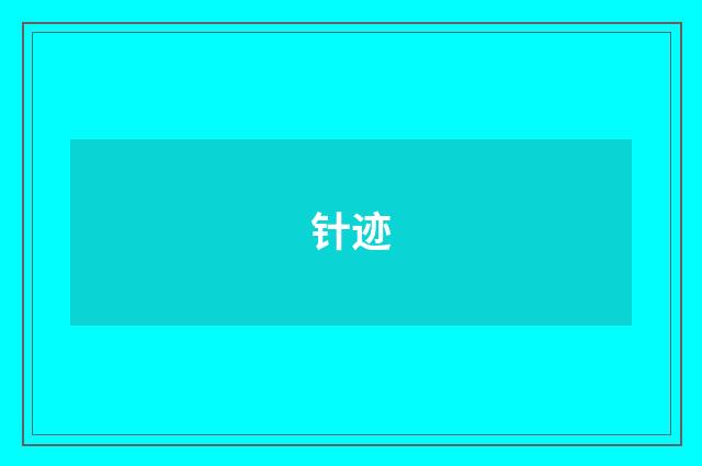 针迹