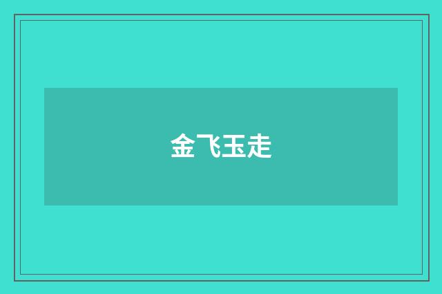 金飞玉走