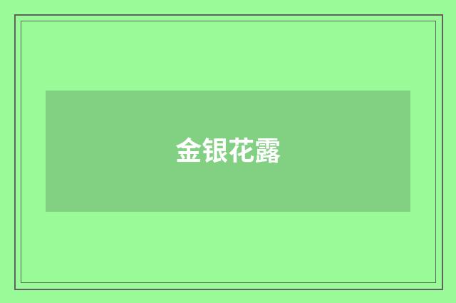 金银花露