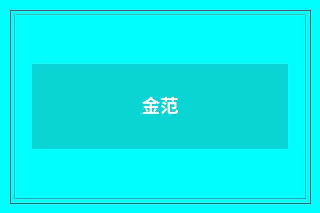 金范