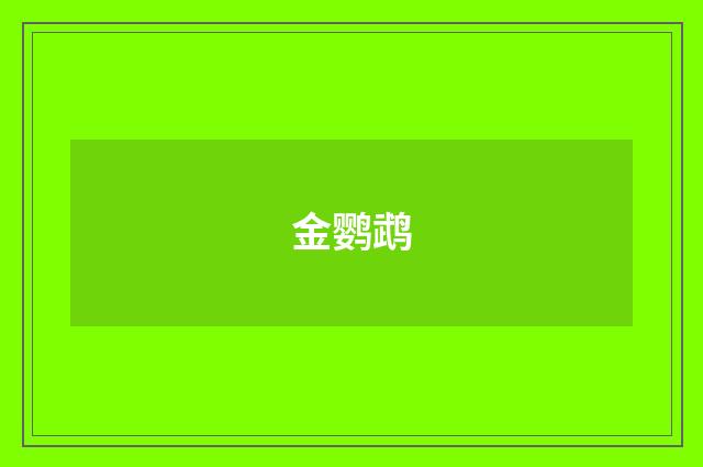 金鹦鹉