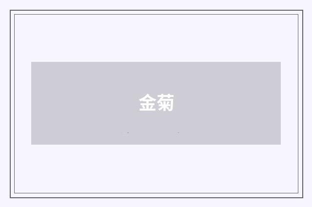 金菊