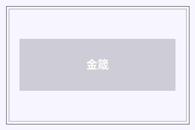金箴