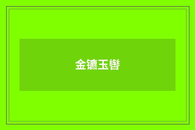 金镳玉辔