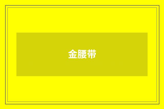 金腰带