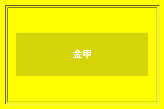 金甲