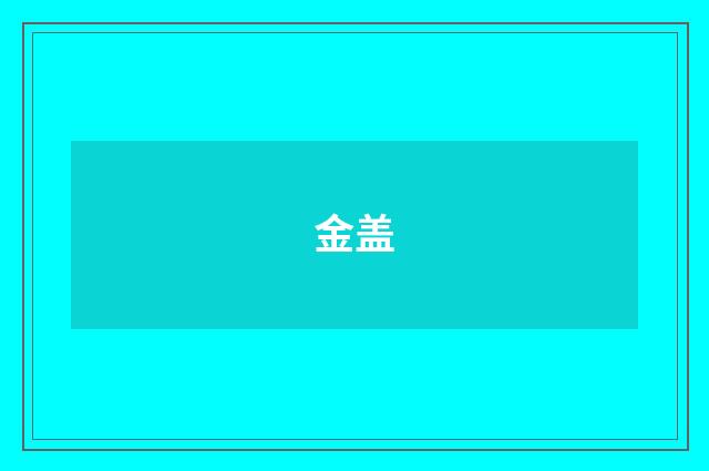 金盖