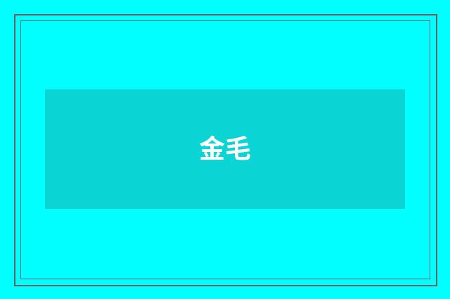 金毛