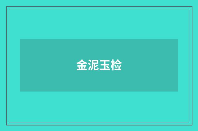 金泥玉检