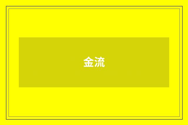 金流