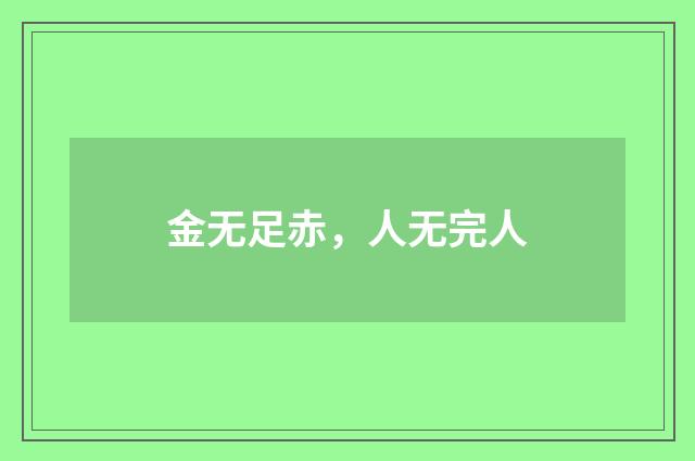 金无足赤，人无完人