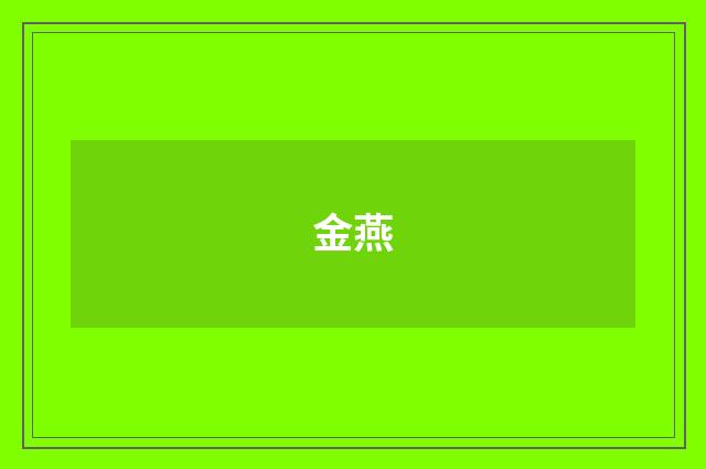 金燕