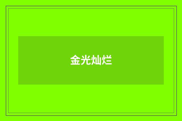 金光灿烂